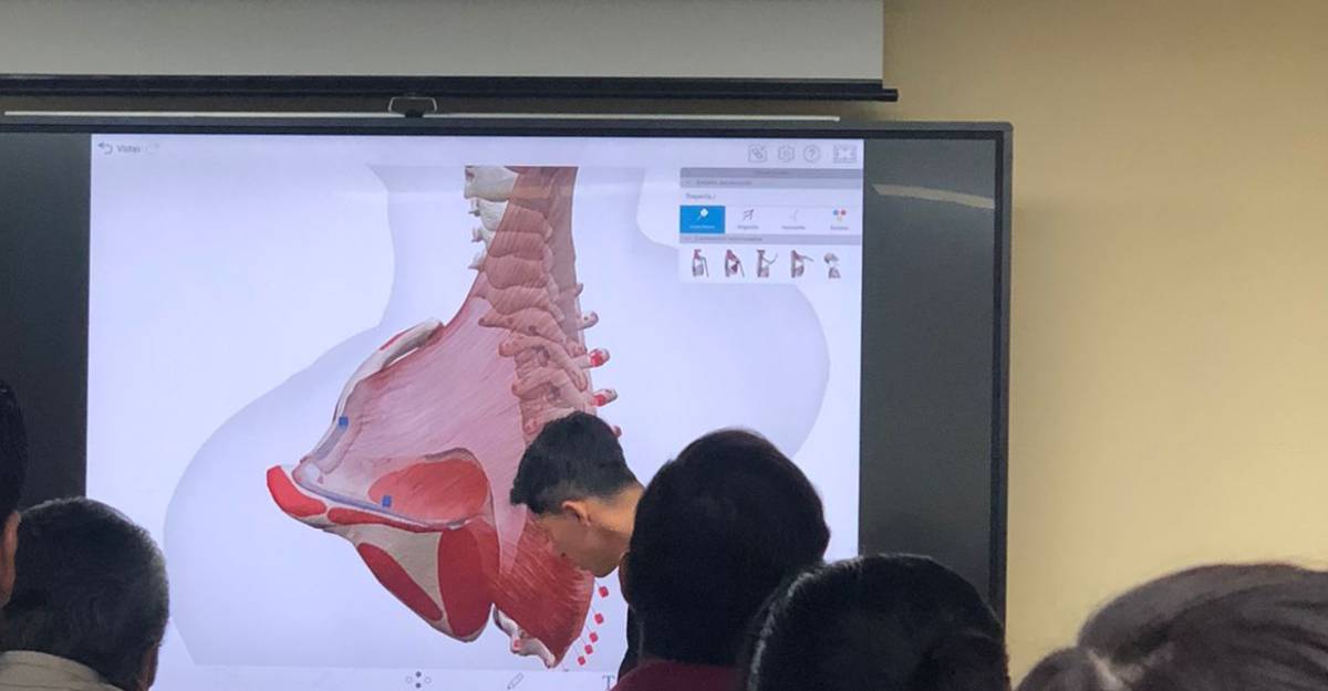 Plática Higiene Postural en Oficina